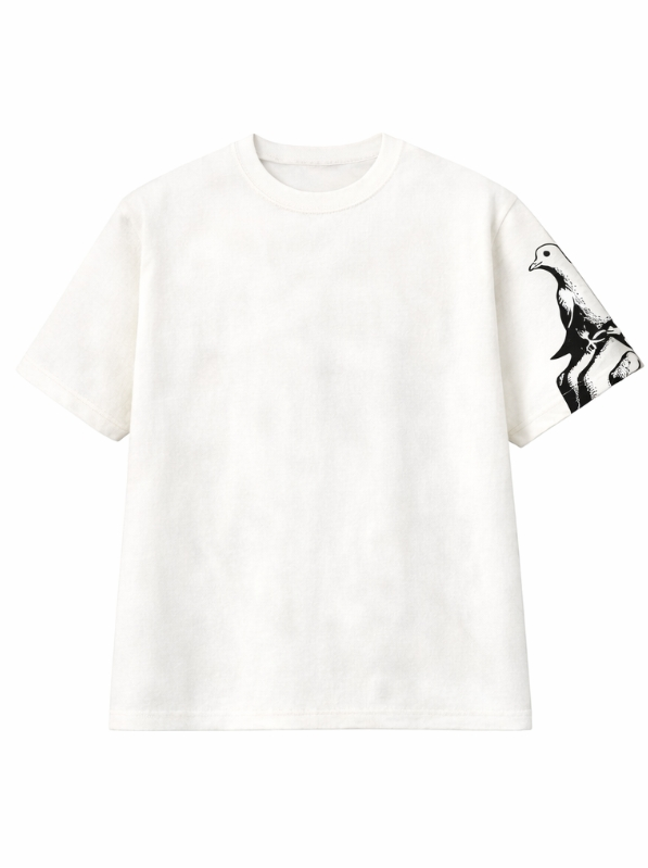 Sun-Faded Pigeon Sleeve Tee